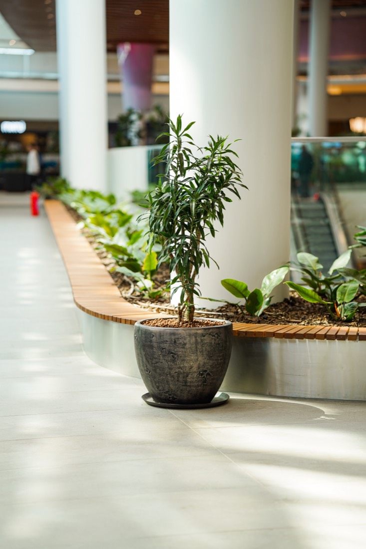 Planter beside a curved wooden bench, Prishtina Mall